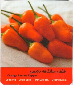 بذر فلفل سانتافه نارنجی